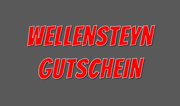 Wellensteyn Gutschein
